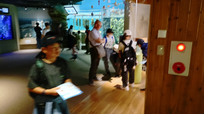 9cf5ac5f-ad7e-4b47-acd9-cc32e4bddff7-1_all_5235